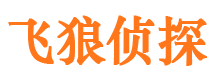 鄂温克族旗市侦探调查公司